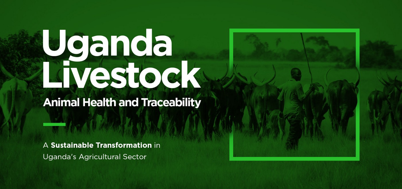 Sustainable Transformation in Uganda’s Agricultural Sector