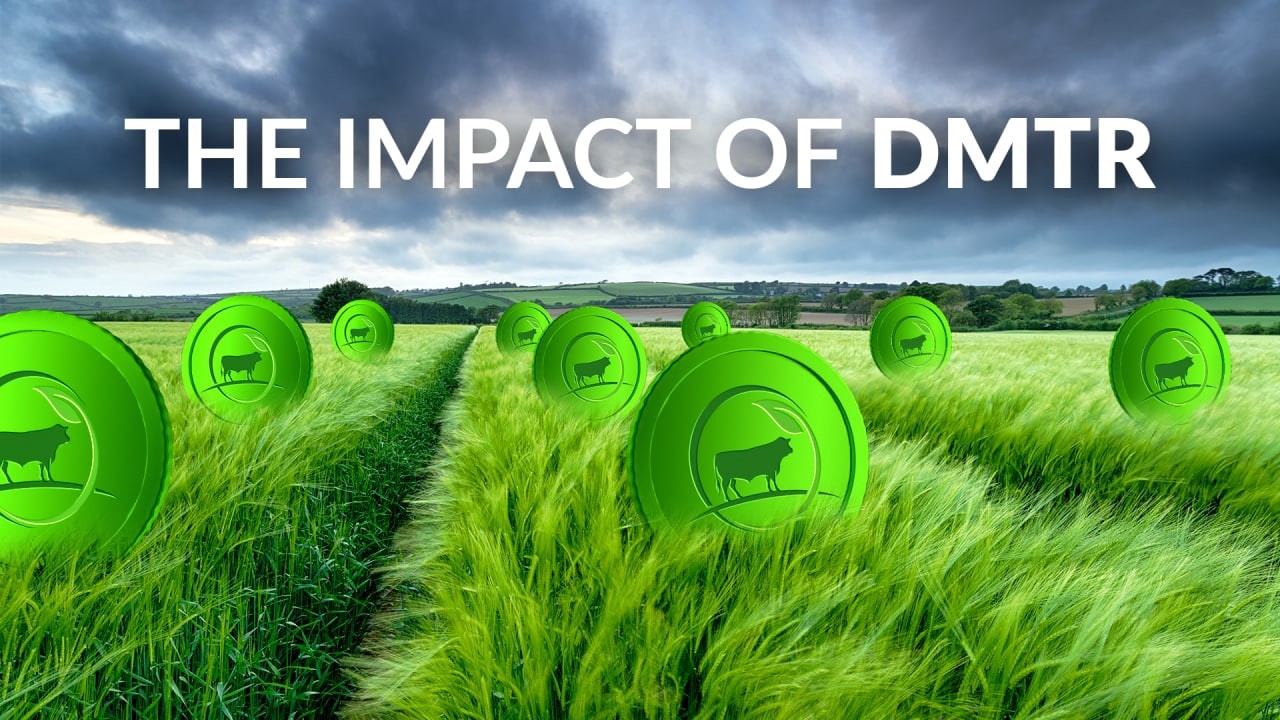 Empowering Global Growth with Dimitra