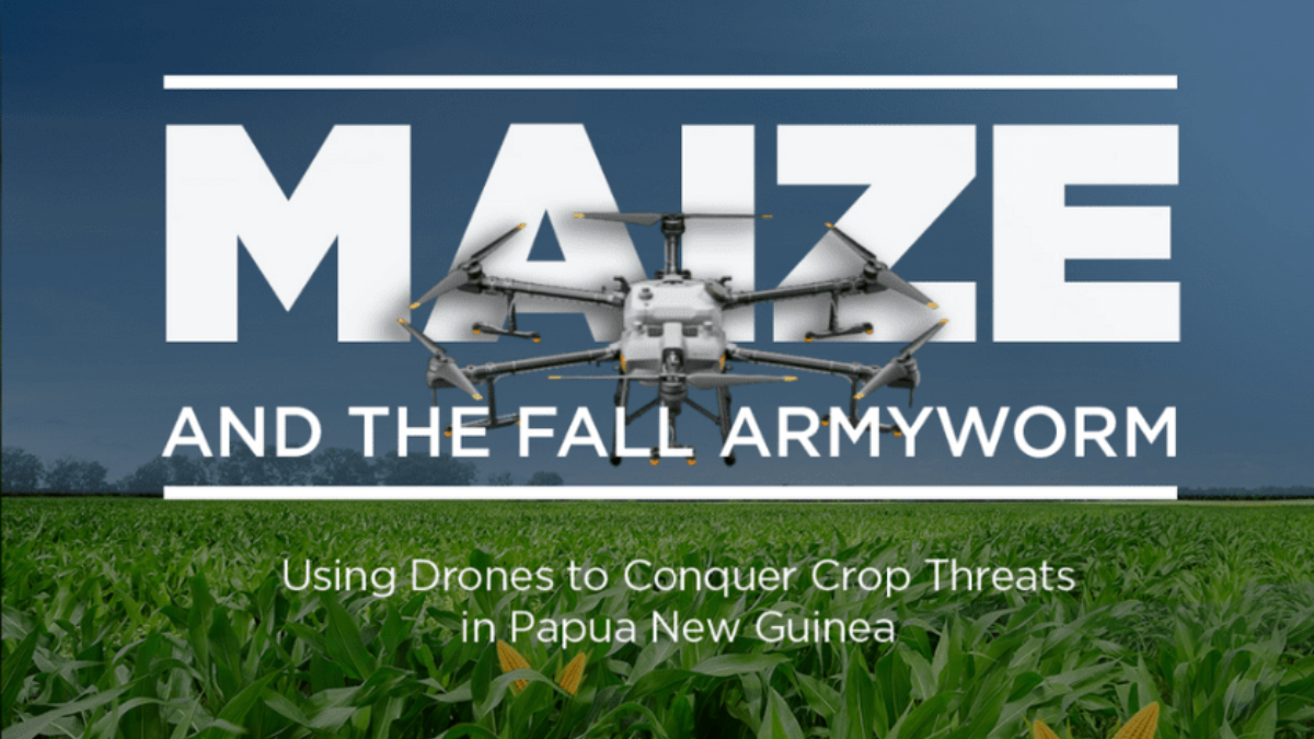 Maize and Fall Armyworm Casestudy