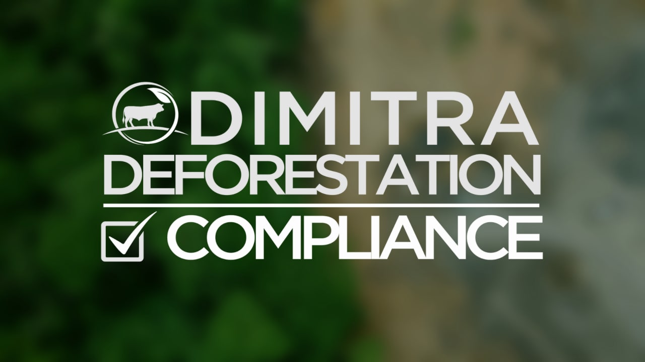 Deforestation is responsible for approximately 10 percent of global warming.