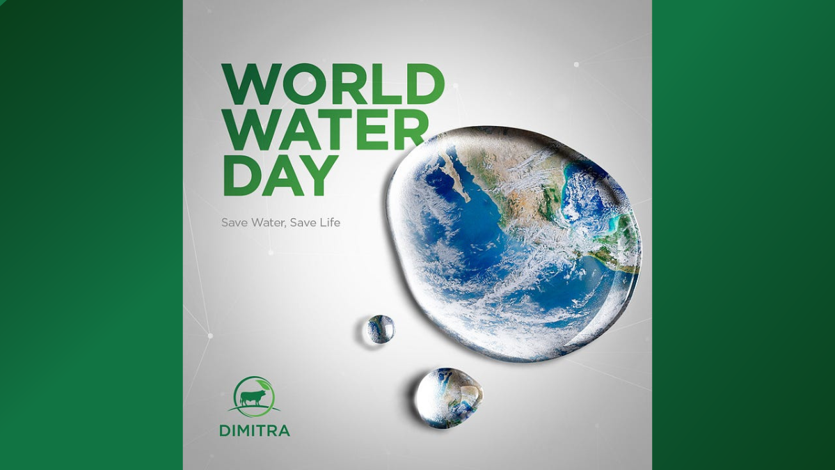 World Water Day 2023