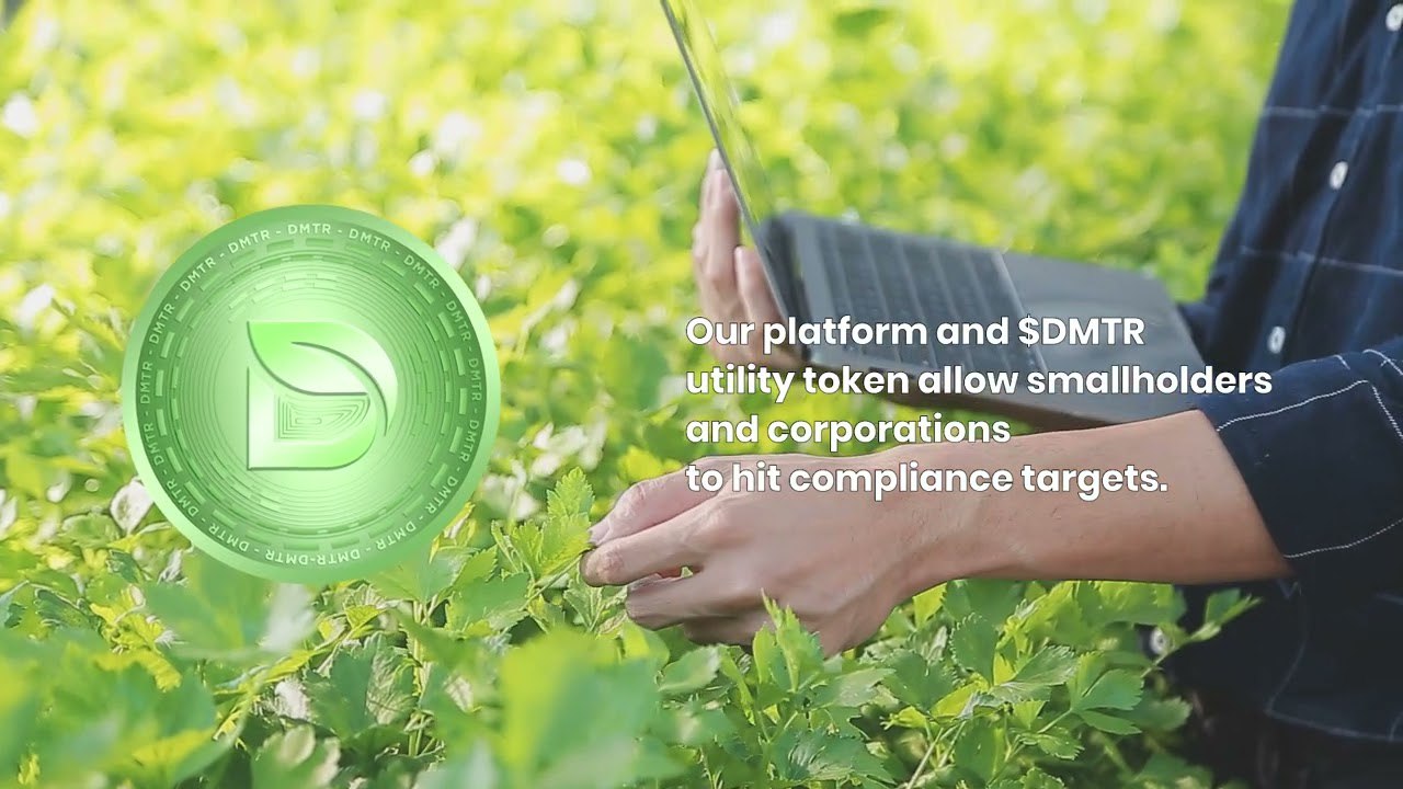 Dimitra: Revolutionizing Deforestation Compliance Through AI and Satellite Technology