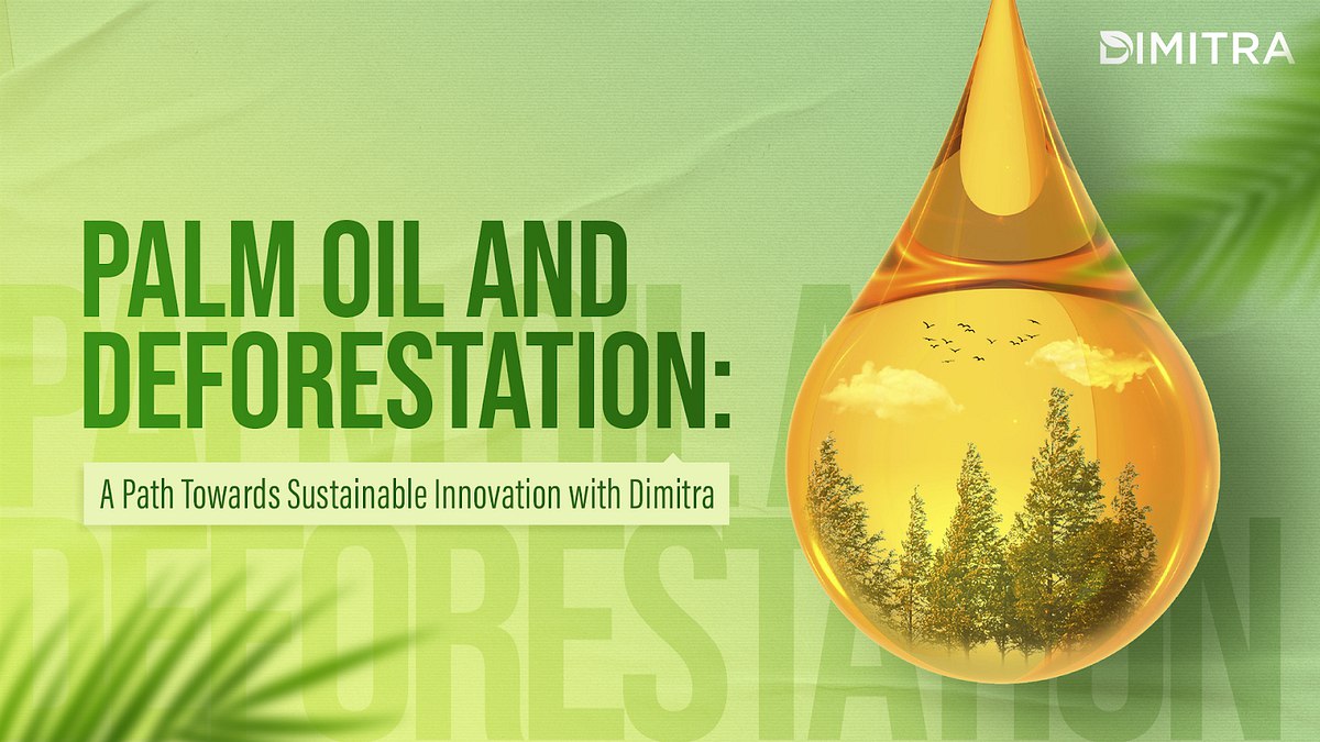 Palm Oil and Deforestation