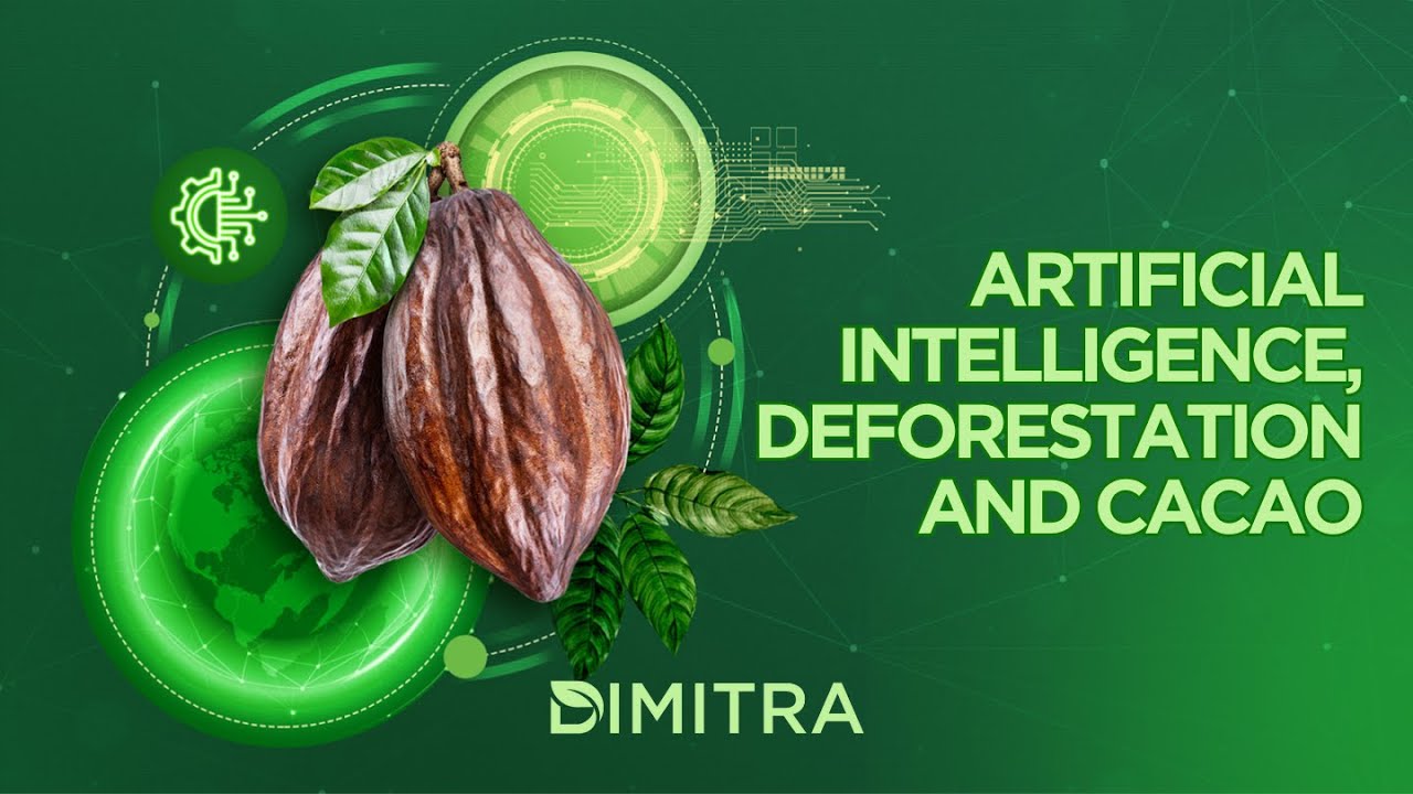Artificial Intelligence, Deforestation and Cacao
