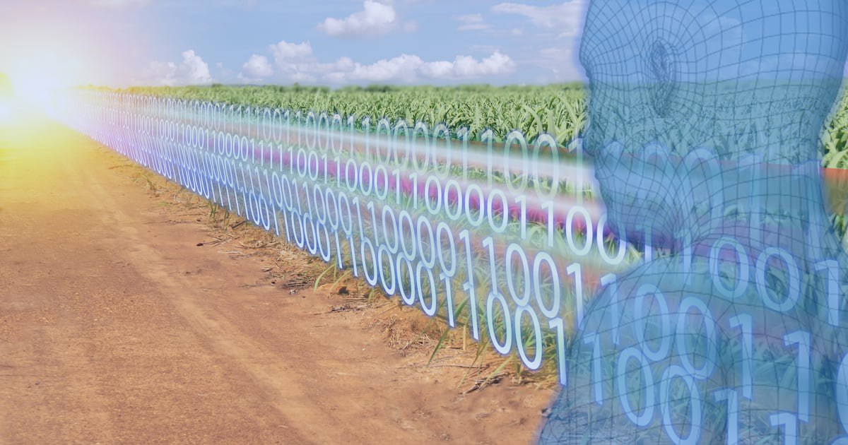 Bridging the digital divide: Dimitra’s bid to empower farmers with blockchain and smart tech