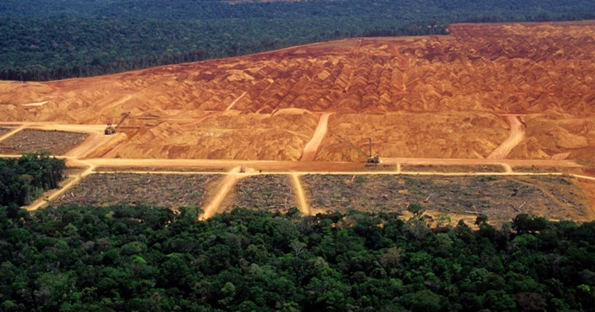 Is industry finally ready for EUDR?