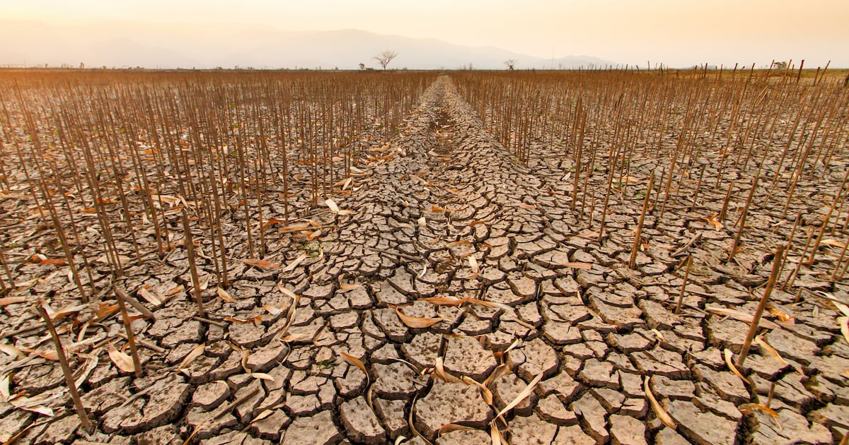 Food industry must act now to avoid climate disaster