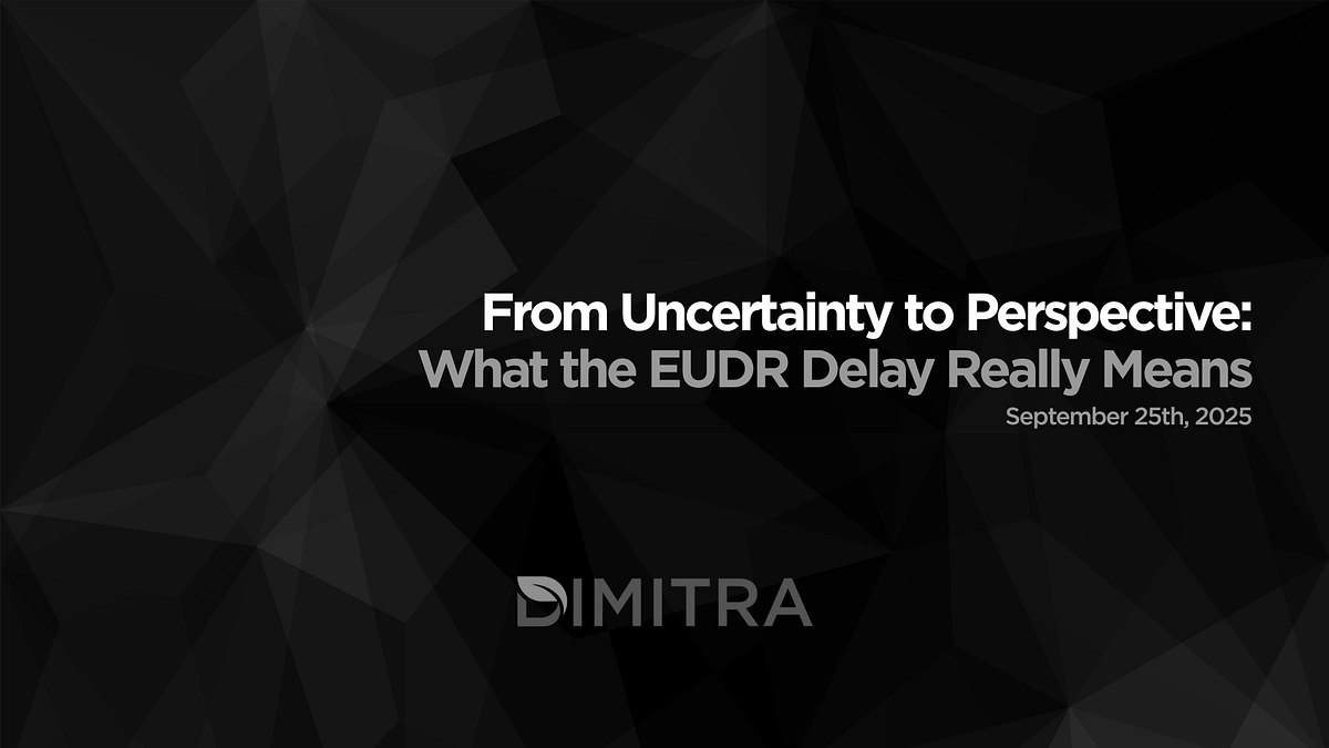 From Uncertainty to Perspective